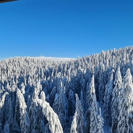 Mountain Apartment *